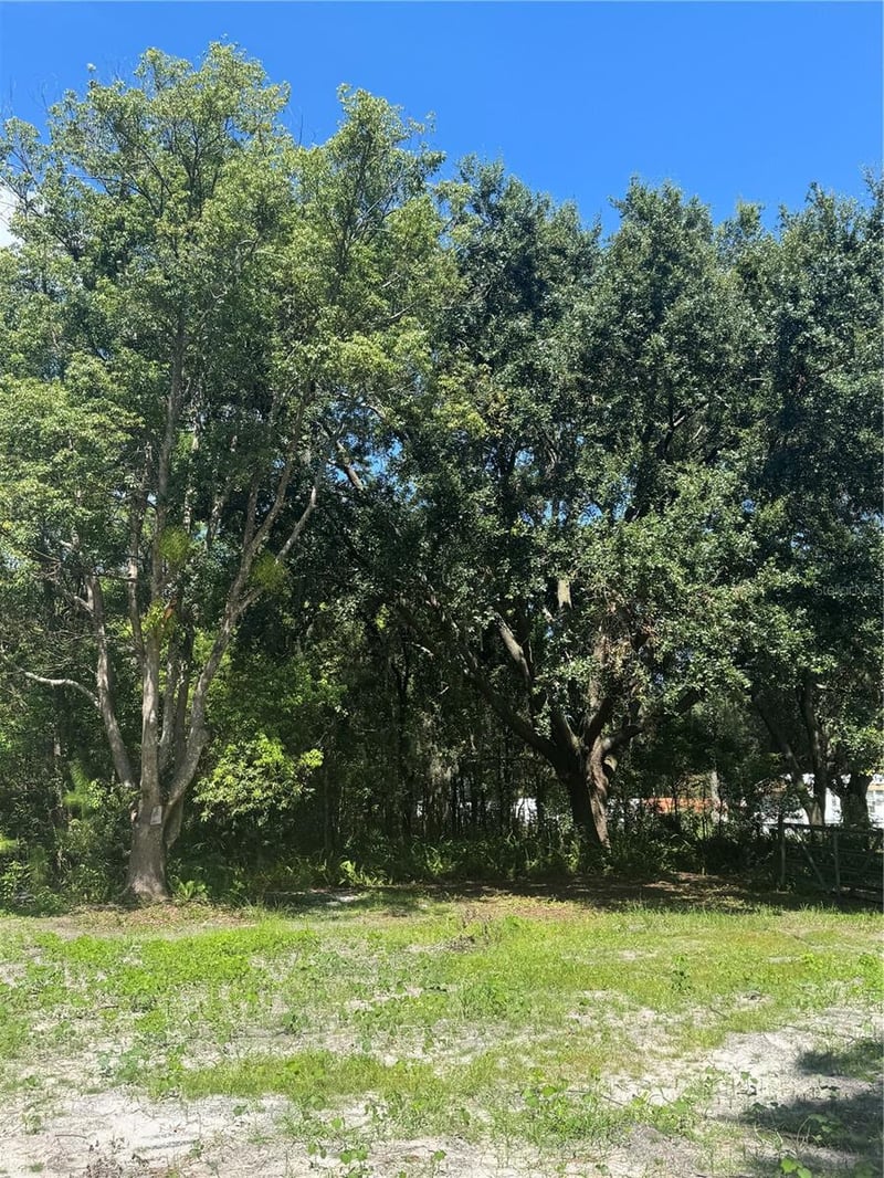 29244 Sanibel Dr, Wesley Chapel, FL 33544