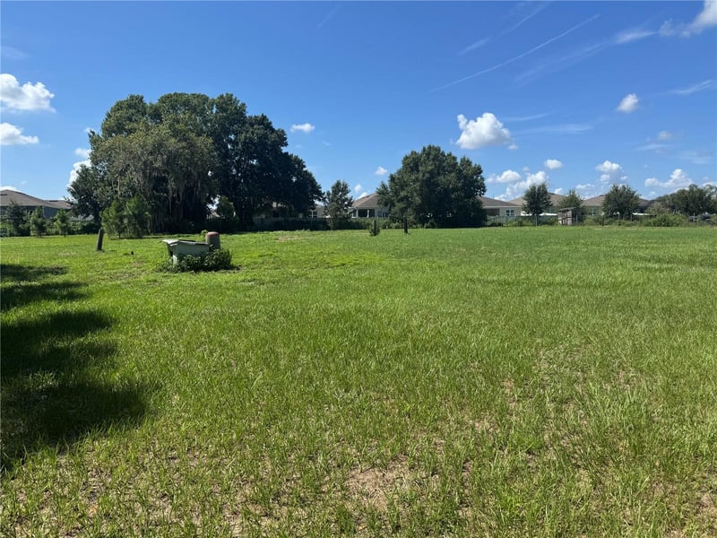 29244 Sanibel Dr, Wesley Chapel, FL 33544