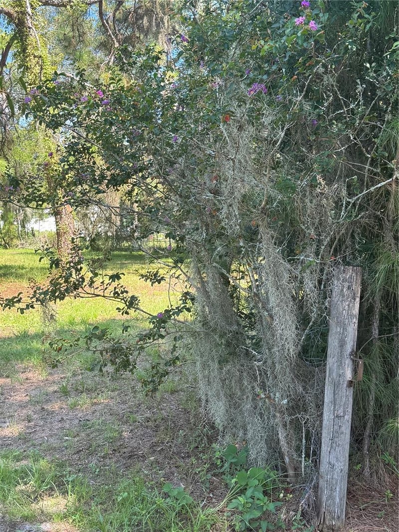 29244 Sanibel Dr, Wesley Chapel, FL 33544