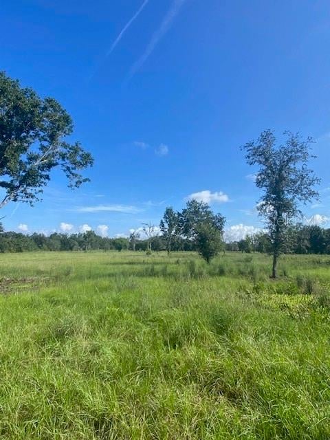 5840 Bob Smith Ave, Plant City, FL 33565
