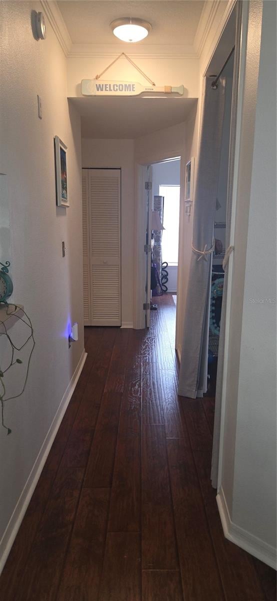 5602 Pinnacle Heights Cir #312, Tampa, FL 33624