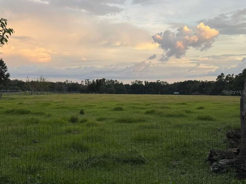 27900 Bayhead Rd, Dade City, FL 33523