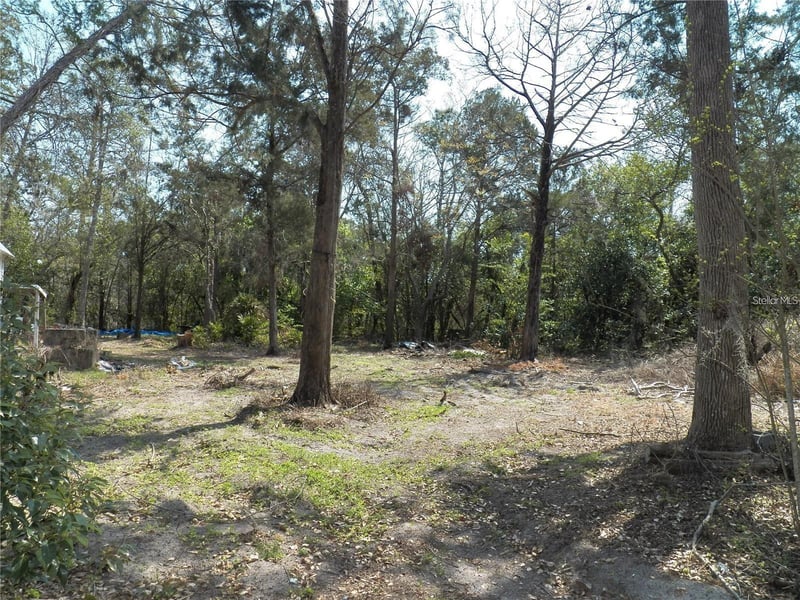 15730 Gifford Ln, Spring Hill, FL 34610