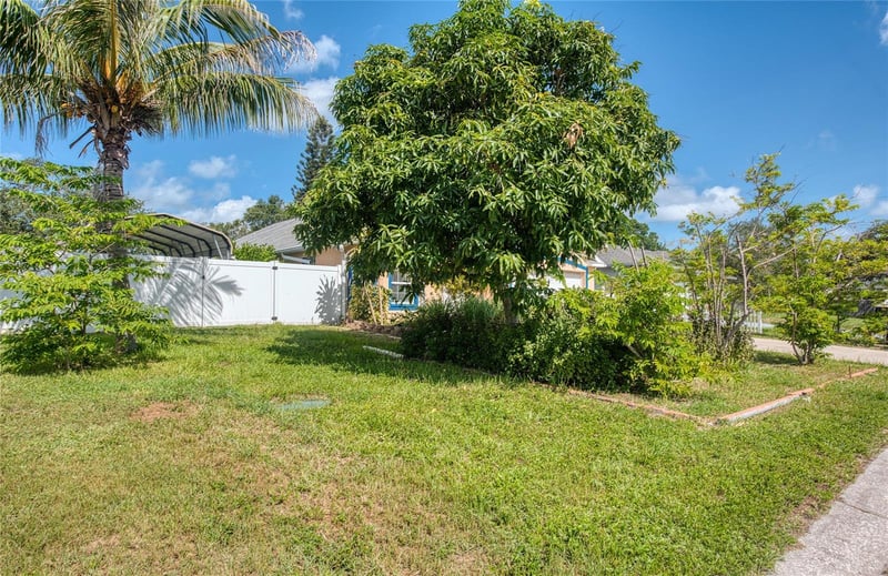 1150 Oakwood Dr, Dunedin, FL 34698