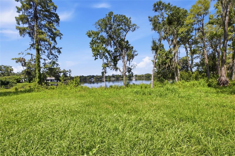 13416 N Lincoln Ave, Tampa, FL 33618