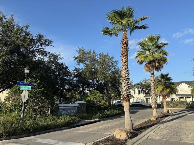 12280 Country White Cir, Tampa, FL 33635