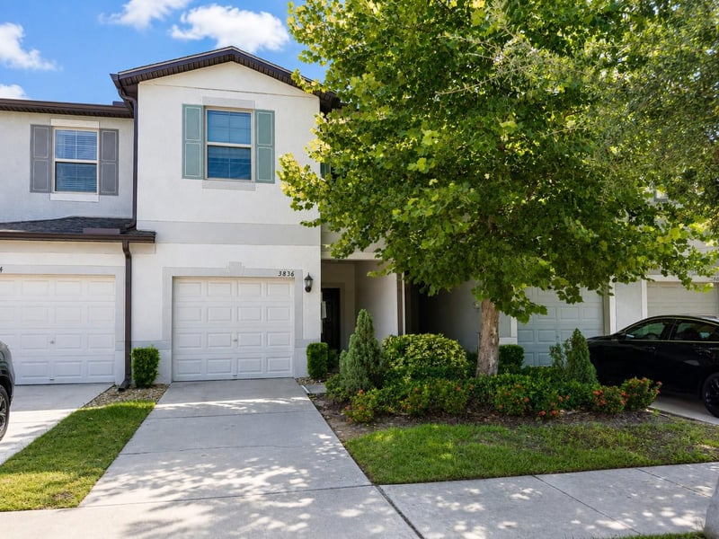 3836 Cat Mint St, Tampa, FL 33619