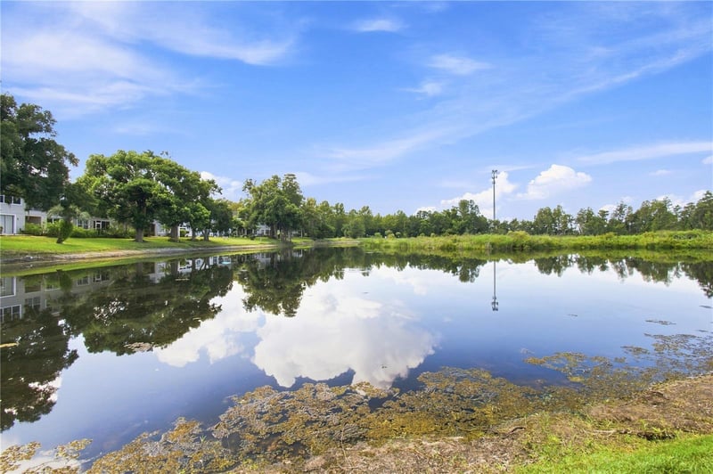 2251 Park Crescent Dr, Land O Lakes, FL 34639