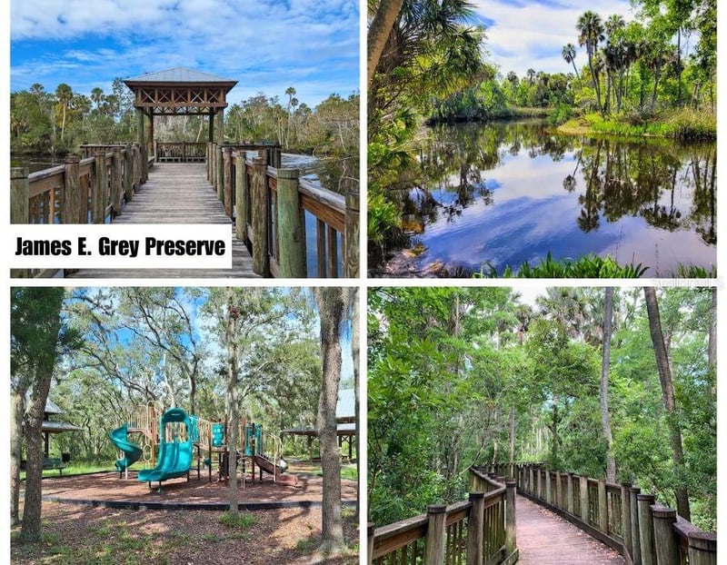 Helena St, New Port Richey, FL 34654