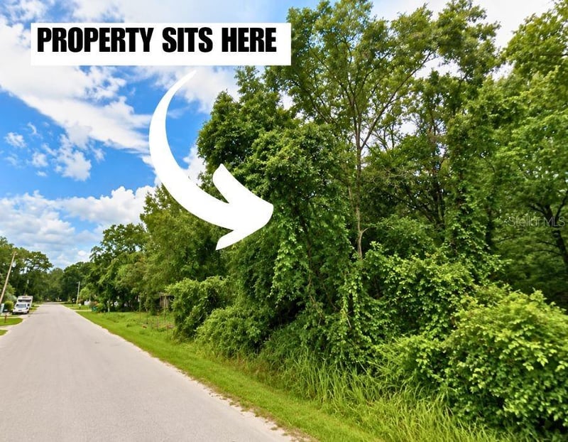 Helena St, New Port Richey, FL 34654