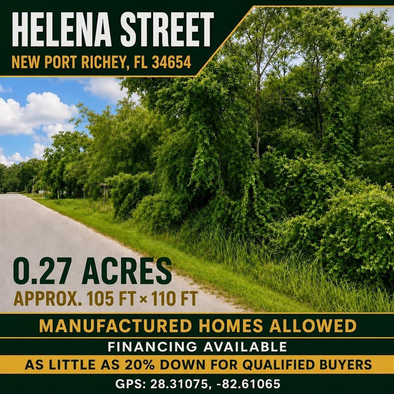 Helena St, New Port Richey, FL 34654