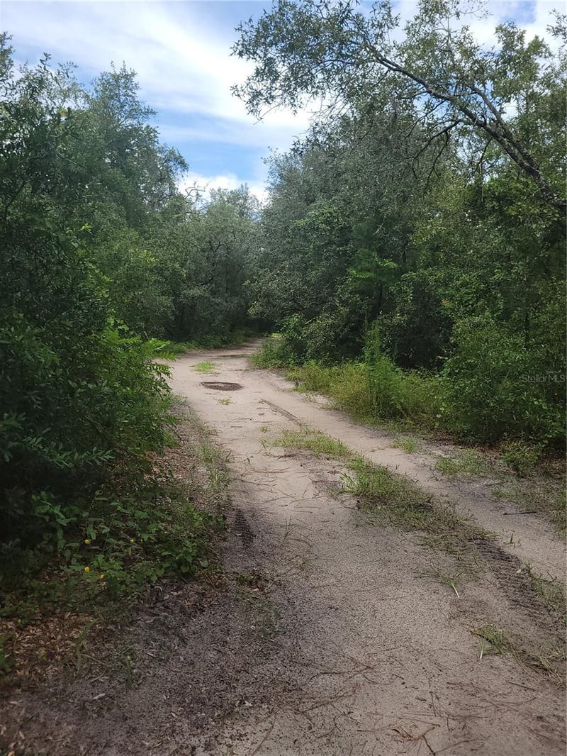 16518 Helen K Dr, Spring Hill, FL 34610