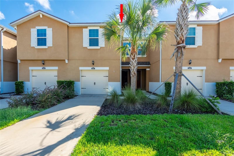 17847 Althea Blue Pl, Lutz, FL 33558