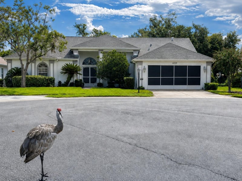 6513 Cardinal Crest Dr, New Port Richey, FL 34655