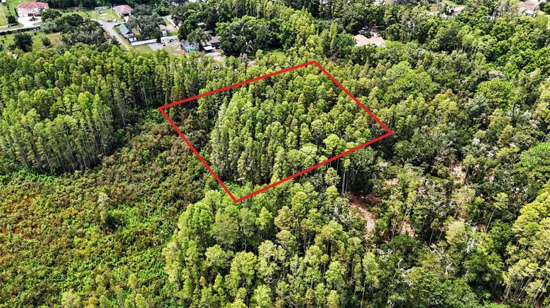 0 2nd Ave NE, Lutz, FL 33549