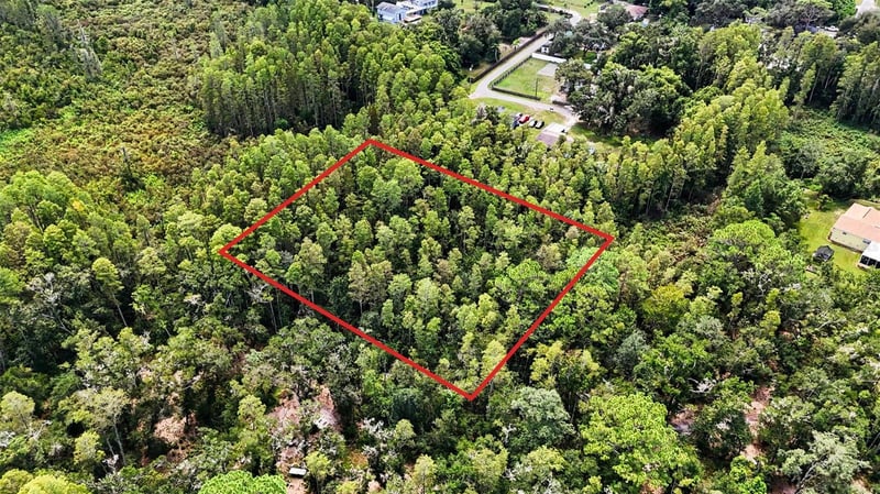0 2nd Ave NE, Lutz, FL 33549