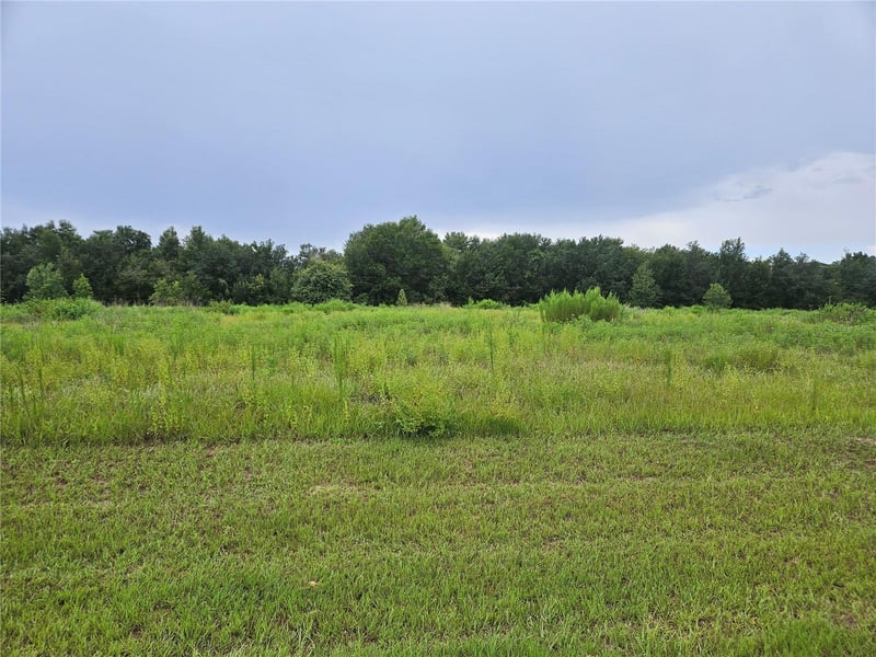 8881 Valerie Ct, Zephyrhills, FL 33540