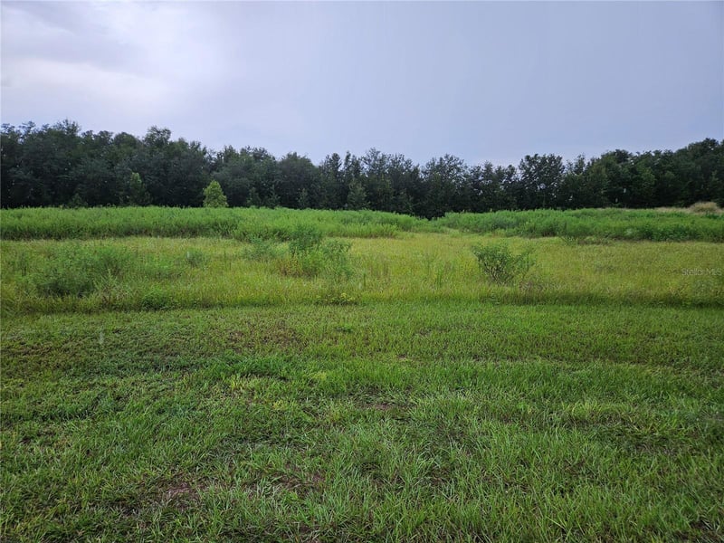 8801 Valerie Ct, Zephyrhills, FL 33540