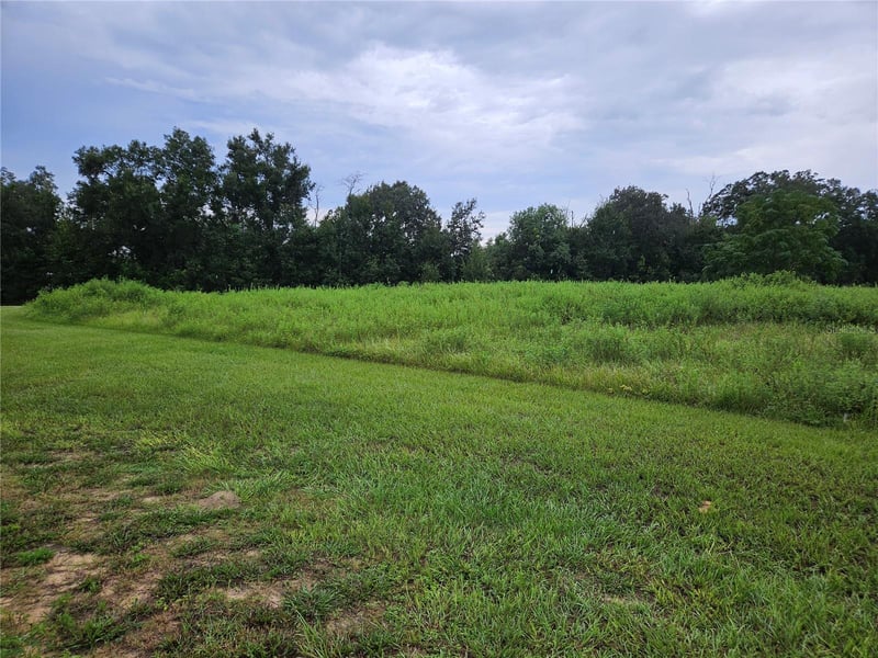 8801 Valerie Ct, Zephyrhills, FL 33540