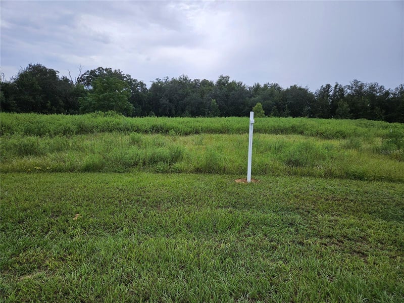 8801 Valerie Ct, Zephyrhills, FL 33540