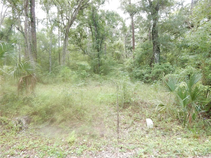 Central Ave, Zephyrhills, FL 33540