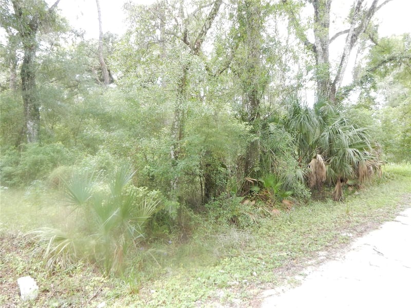 Central Ave, Zephyrhills, FL 33540