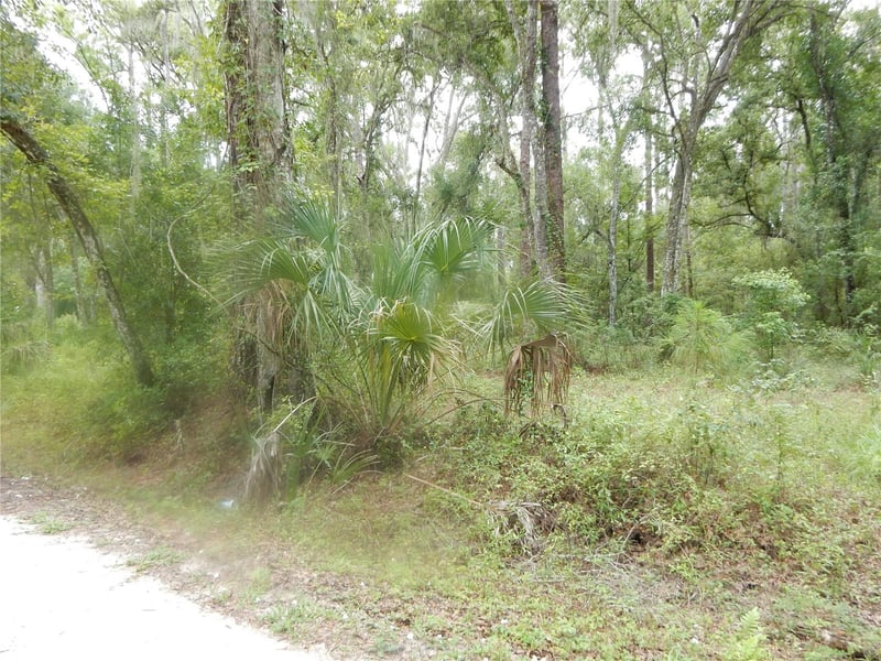Central Ave, Zephyrhills, FL 33540