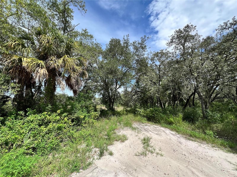 13339 Vivian Ln, Hudson, FL 34669
