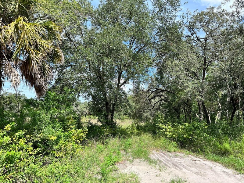 13339 Vivian Ln, Hudson, FL 34669