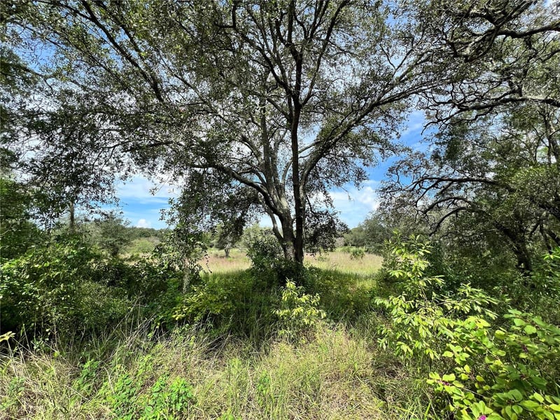 13339 Vivian Ln, Hudson, FL 34669