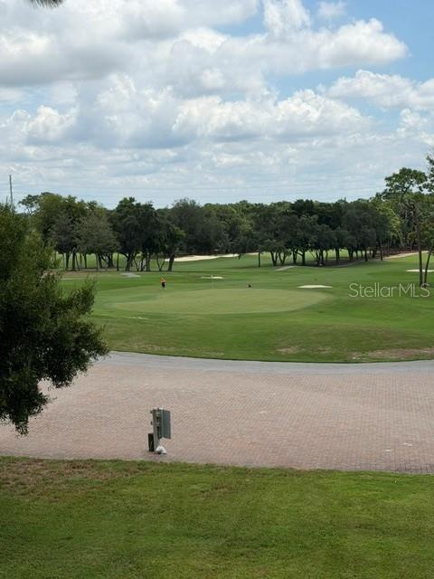 36750 Us Highway 19 N #15305, Palm Harbor, FL 34684