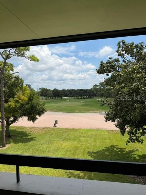36750 Us Highway 19 N #15305, Palm Harbor, FL 34684