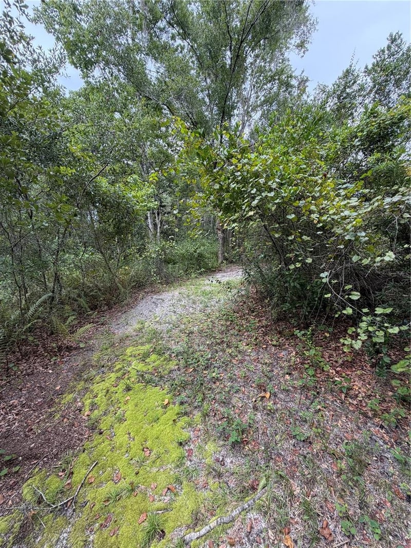 19201 Dove Rd, Land O Lakes, FL 34638
