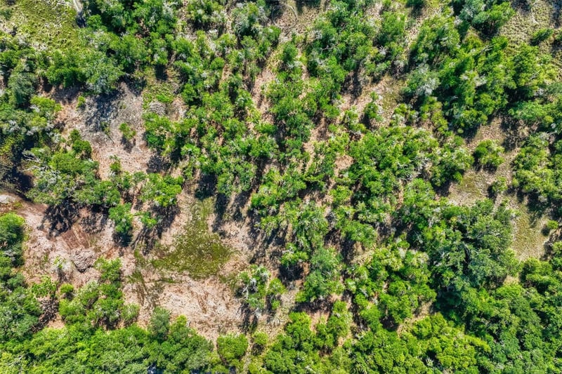 Bruton Rd, Plant City, FL 33565