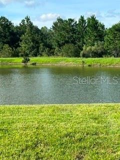 17973 Dairy Farm Ct, Land O Lakes, FL 34638