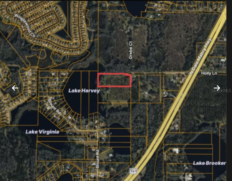 Holly Ln, Lutz, FL 33558