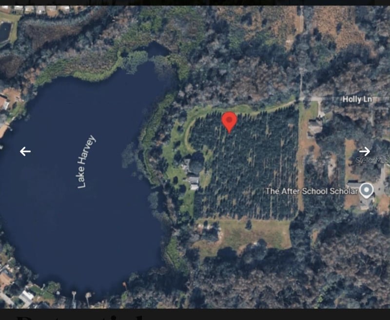 Holly Ln, Lutz, FL 33558