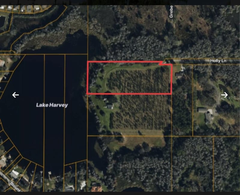 Holly Ln, Lutz, FL 33558