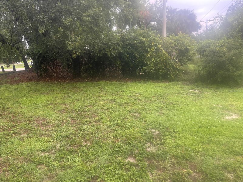 33855 Mandrake Rd, Wesley Chapel, FL 33543