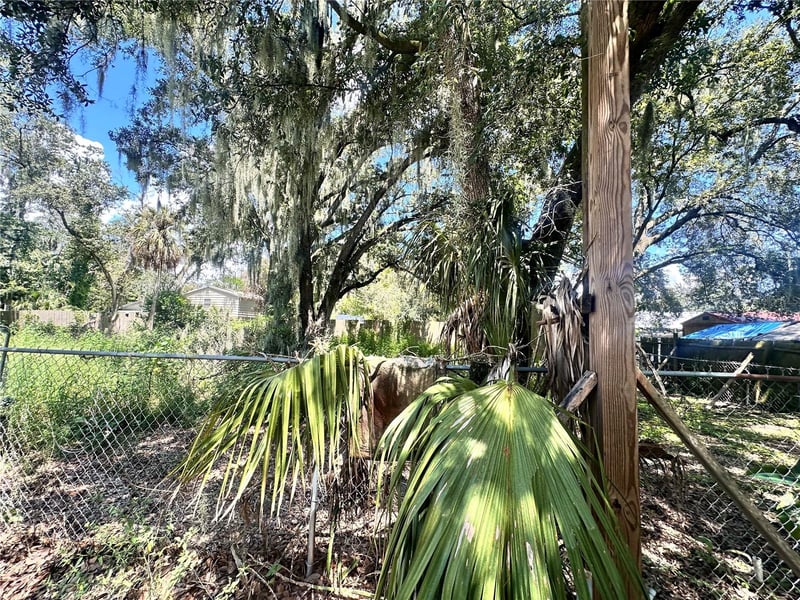 9011 Carey Rd, Lithia, FL 33547