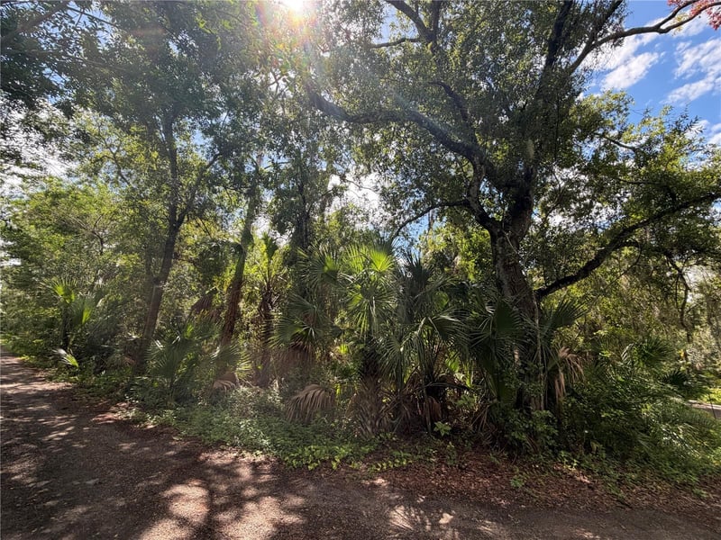 Whitfield Ave, Sarasota, FL 34243
