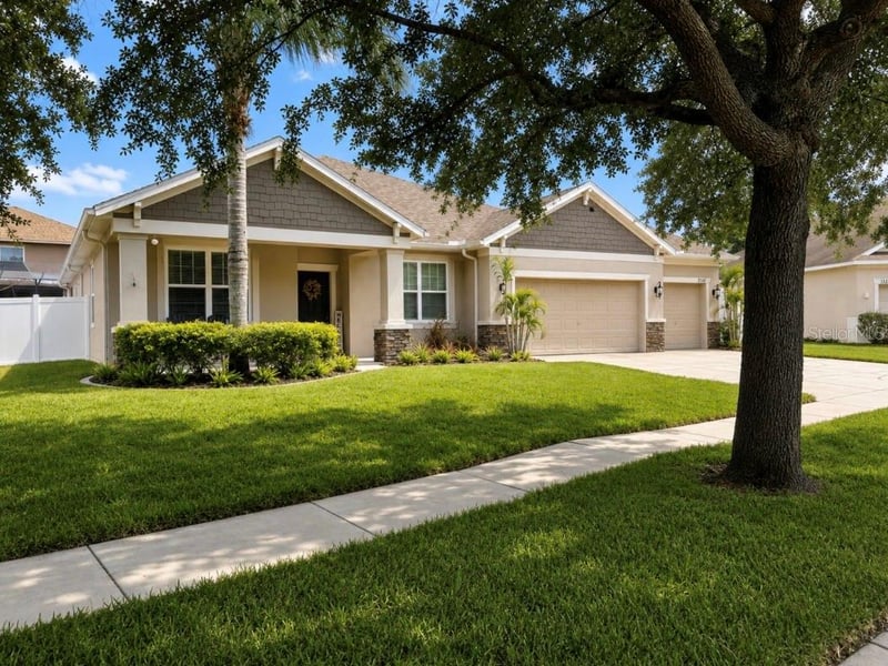 1518 Rhodeswell Ln, Dover, FL 33527