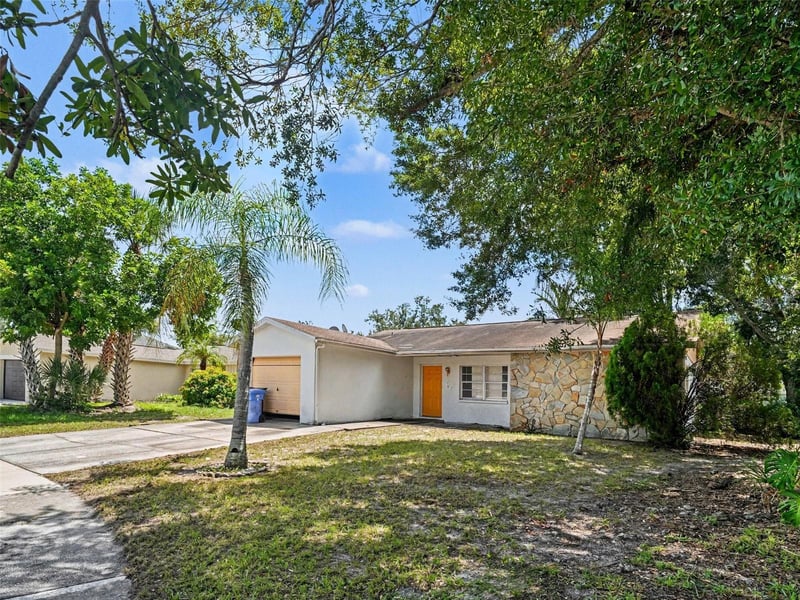 11329 Blackbark Dr, Riverview, FL 33579