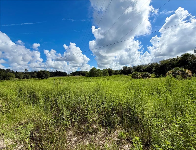 13331 Treaty Rd, Spring Hill, FL 34610