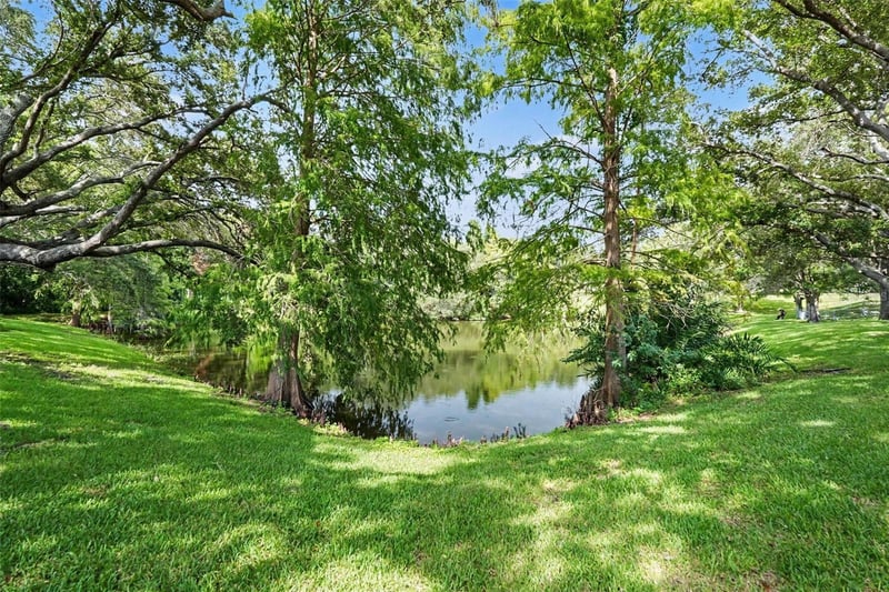 491 Exmoor Ter, Dunedin, FL 34698