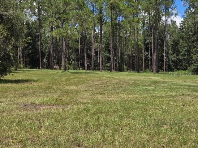 18505 Holloway Ln, Dade City, FL 33523