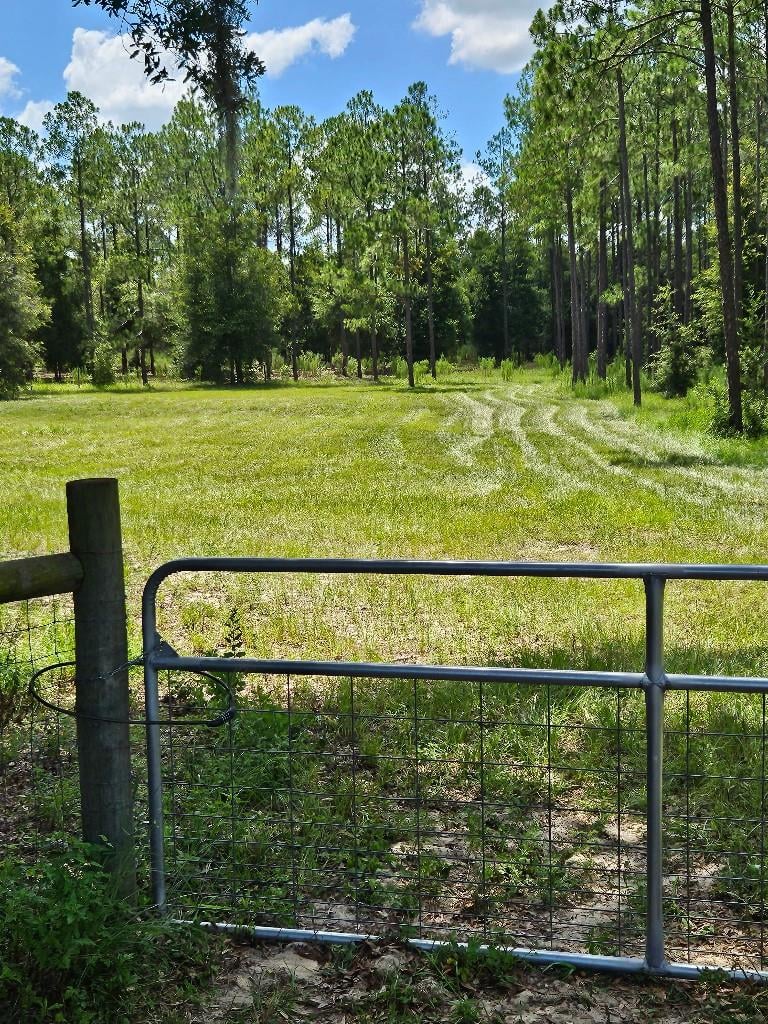 18505 Holloway Ln, Dade City, FL 33523