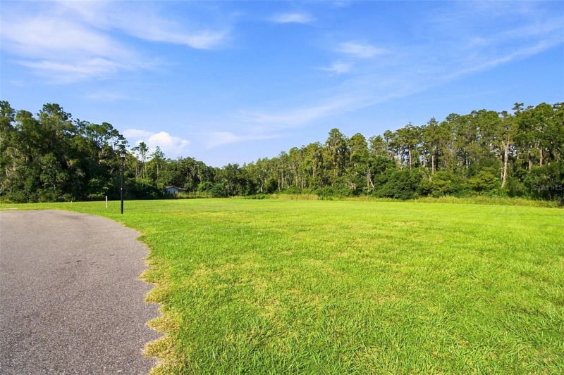 289 Magnolia Acres Ct, Lutz, FL 33548