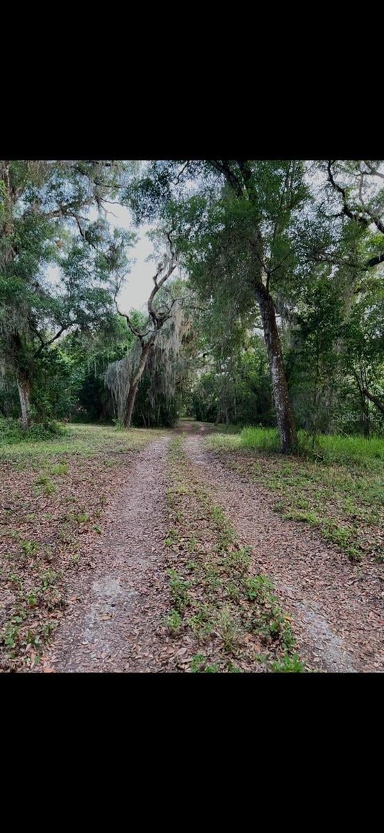 20231 Painter Pl, Spring Hill, FL 34610