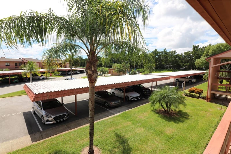 105 Lakeside Ct #6, Oldsmar, FL 34677